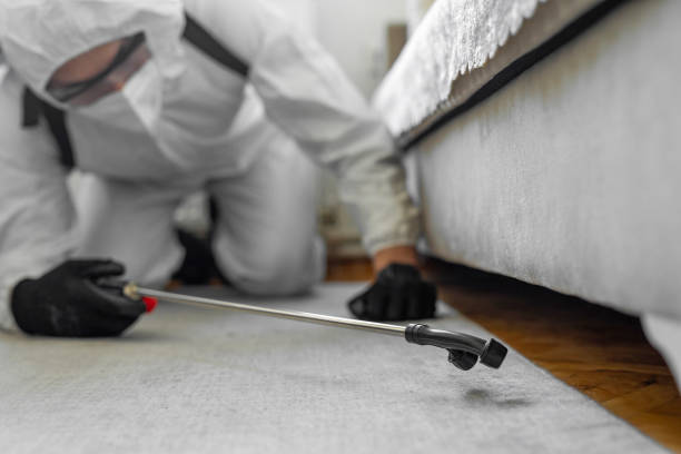 Professional Cockroach Control technician working in Oconto Falls, WI